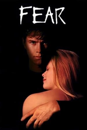 Fear (1996) Hindi Dual Audio 300MB