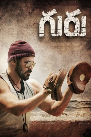 Guru (2017) Hindi Dual Audio [1.1GB]