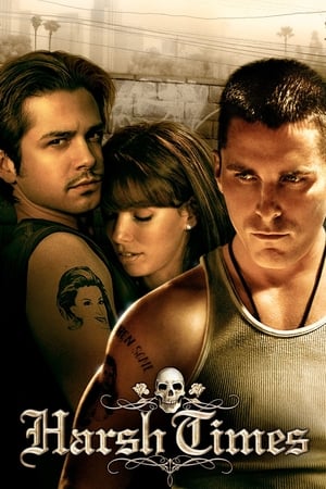 Harsh Times 2005 Hindi Dual Audio –