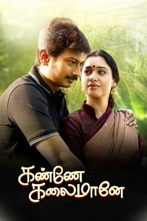 Kanne Kalaimaane 2019 (Hindi - Tamil) Dual Audio 450MB