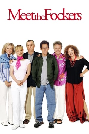 Meet the Fockers 2004 Hindi Dual Audio 350MB