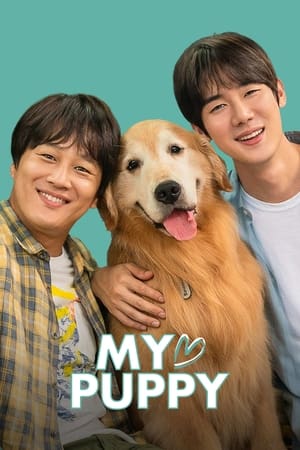 My love puppy (2022) Hindi Dual Audio –