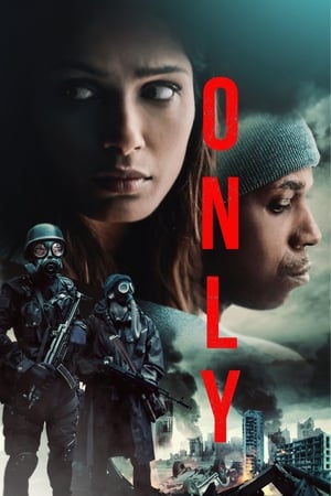Only (2019) Hindi Dual Audio –