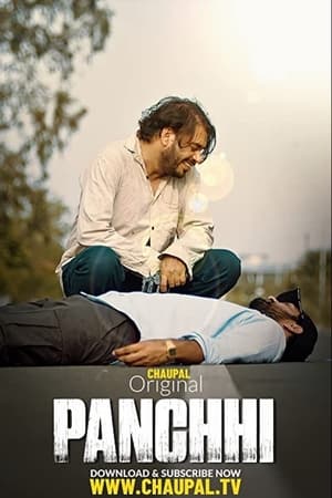 Panchhi 2021 Punjabi Movie [750MB]