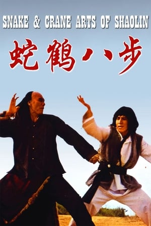 Snake and Crane Arts of Shaolin 1978 Hindi Dual Audio 300MB