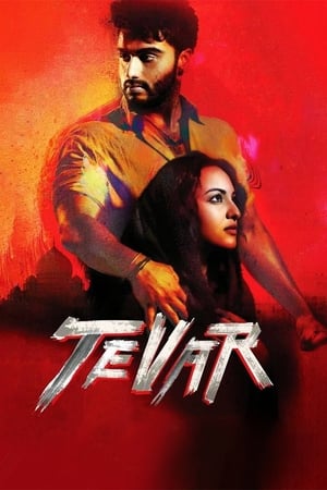 Tevar (2015) HIndi Movie [1.4GB]
