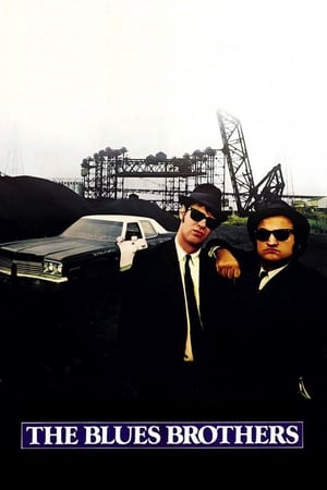 The Blues Brothers (1980) Hindi Dual Audio 450MB ESubs