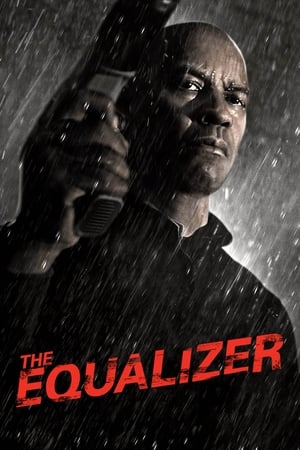 The Equalizer (2014) Hindi Dual Audio –