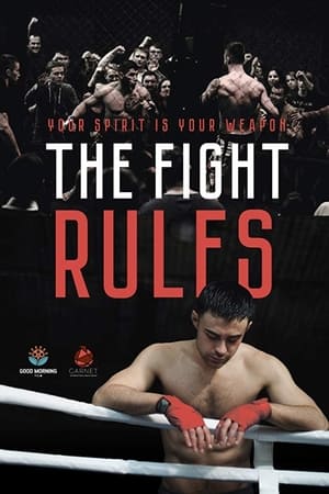 The Fight Rules 2017 Hindi Dual Audio [730MB]