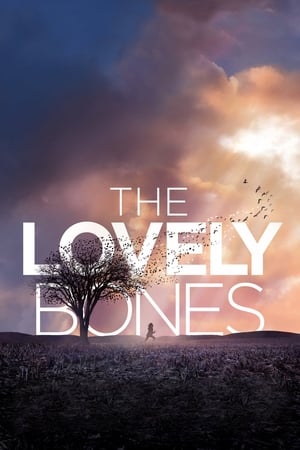 The Lovely Bones (2009) Hindi Dual Audio [1GB]