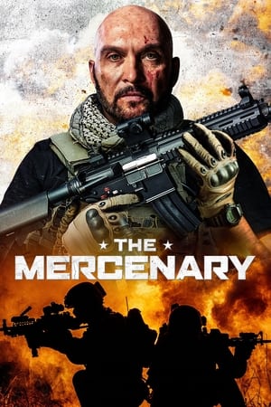 The Mercenary (2019) Hindi Dual Audio 350MB