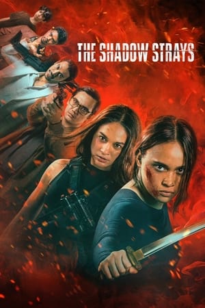 The Shadow Strays 2024 Hindi Dual Audio – 720p – 480p